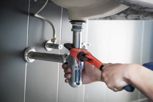 Best Commercial Plumbing Services  in Boles Acres, NM